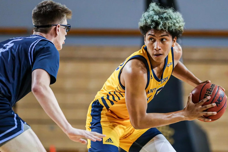 Blueprints and Backboards: Jeron Artest’s Rise in Basketball and Game Development 1 jeron-artest